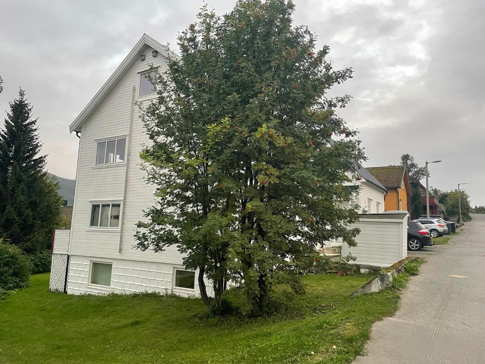 The Aurora Garden - 1Bedroom Apartment - Walking Distance From City Center Tromsø Dış mekan fotoğraf